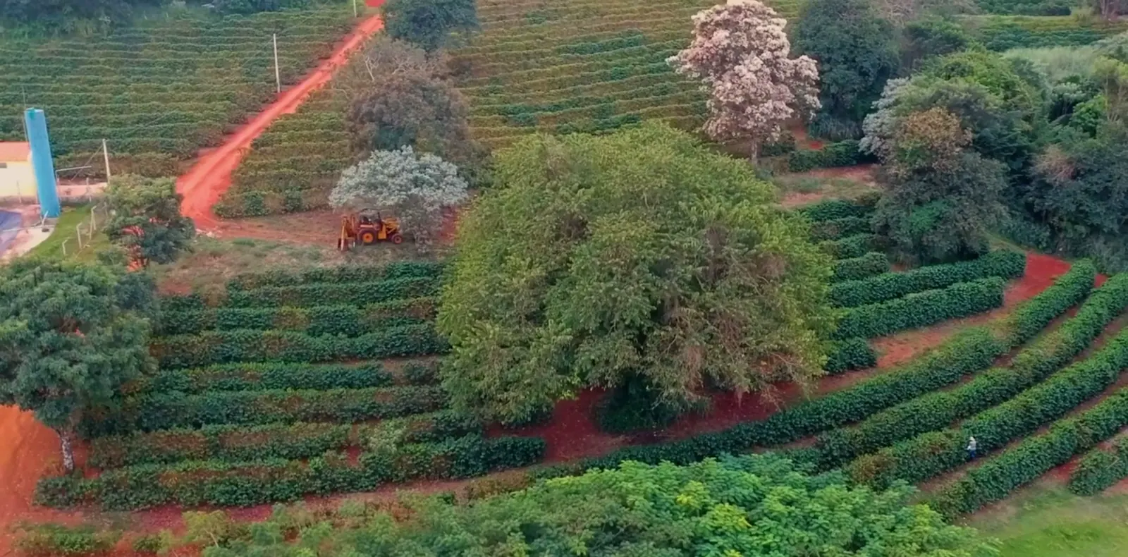 Vista aérea das curvas de nível com as ruas de café
